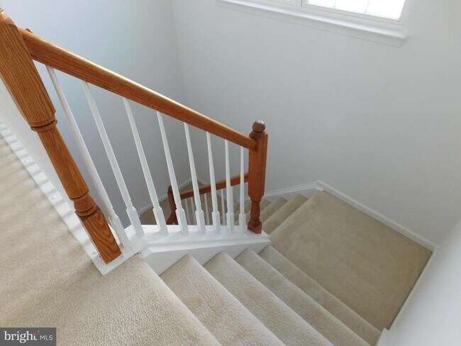 Building Photo - 25207 Bald Eagle Terrace