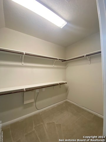 Building Photo - 6131 Gypsy Bell