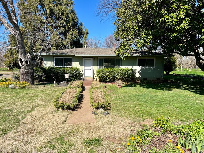 Primary Photo - Country home in Linden