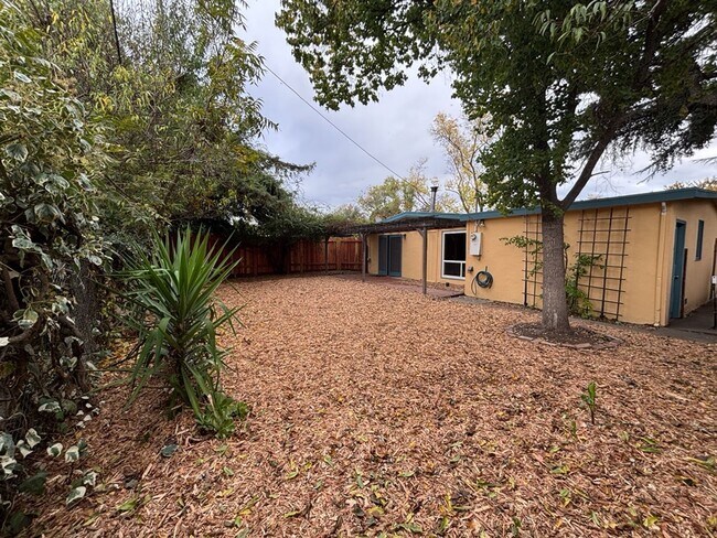 Building Photo - 3/1 in East Davis, New windows, new floors, new paint!