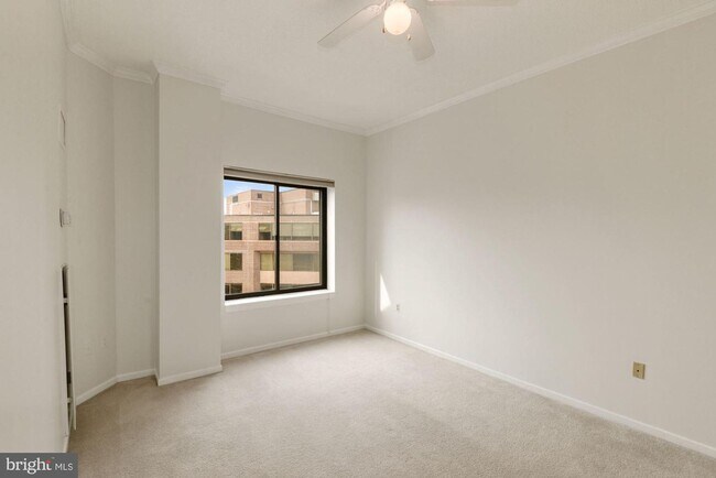 Building Photo - Georgetown. Upper *** Large, Stylish, Top ...