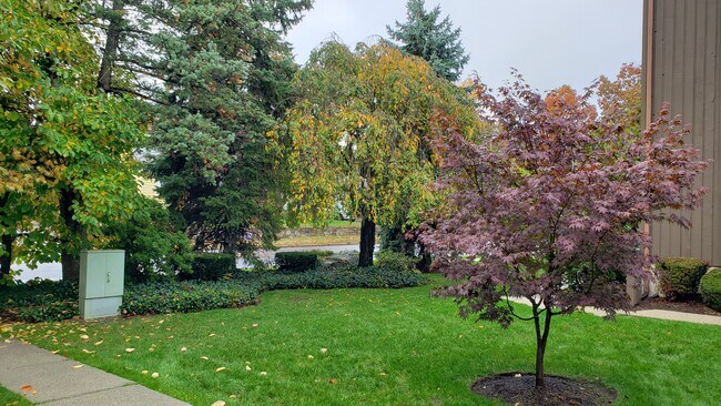 Courtyard Entrance - 455 Hope St