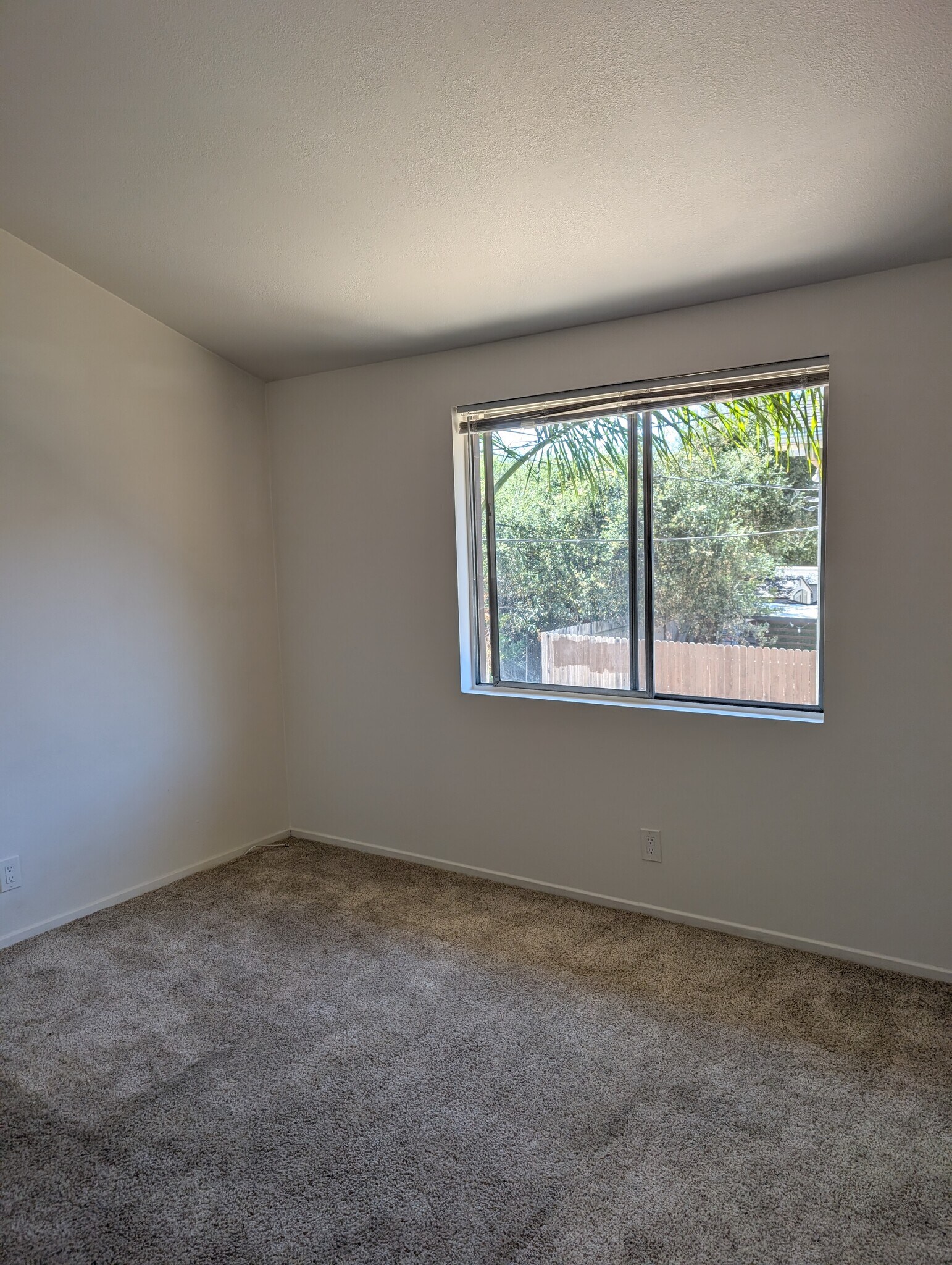 Building Photo - 4817 San Gordiano Ave