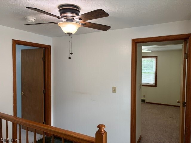 Building Photo - 5675 S Park Blvd