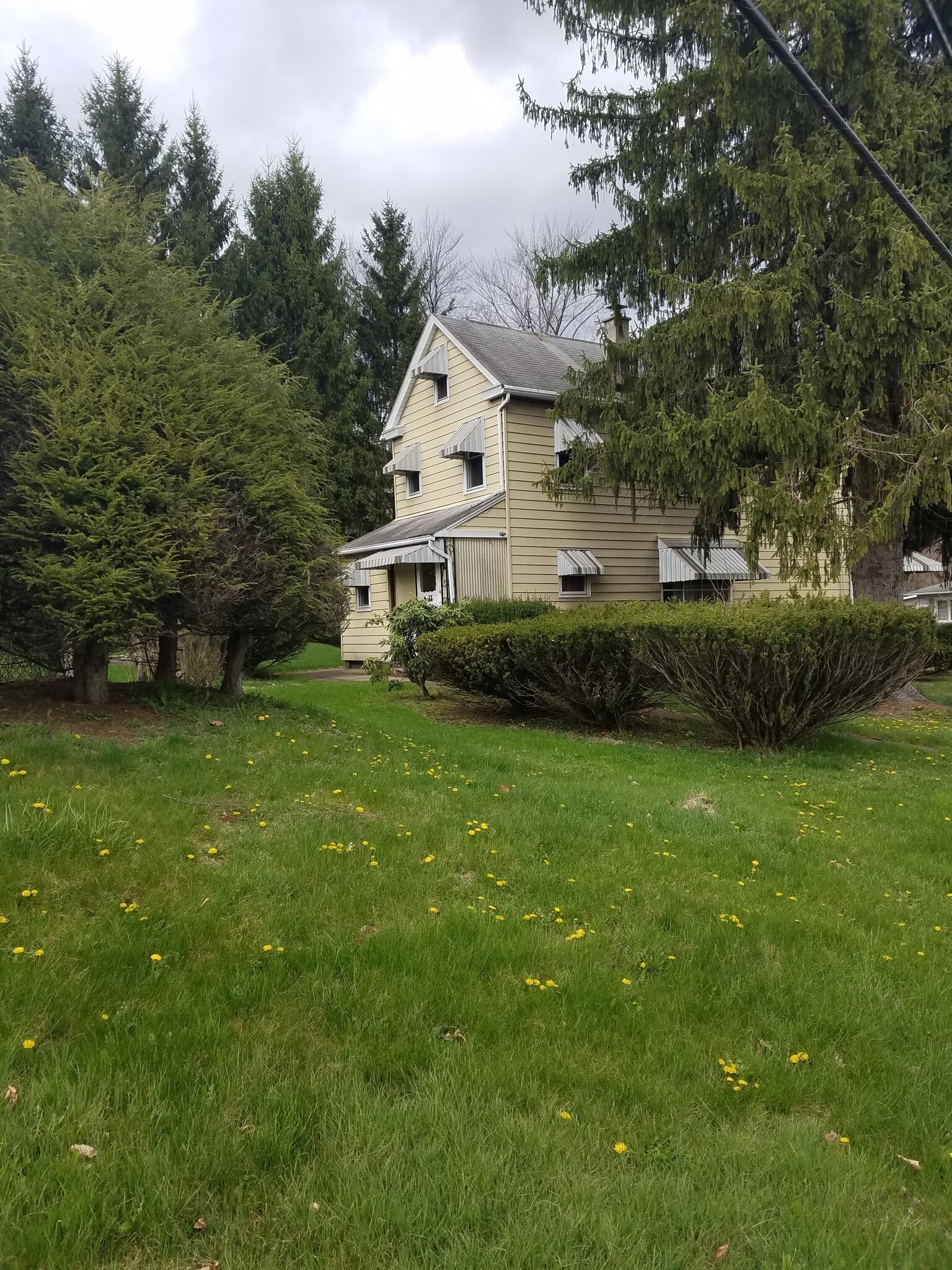 Back/Side View - 271 S Main Rd