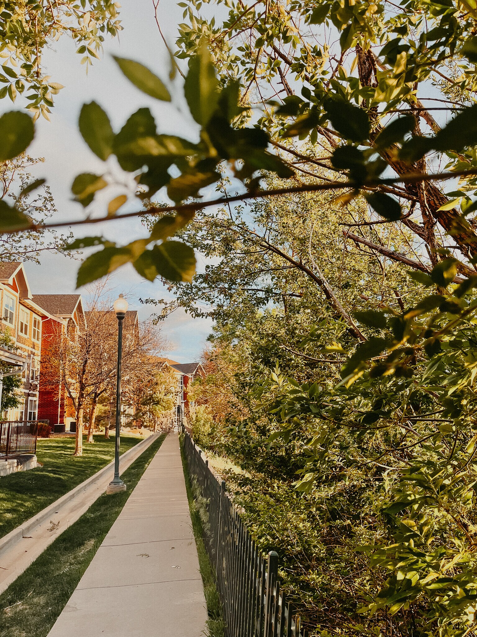 Building Photo - 14343 E 1st Dr