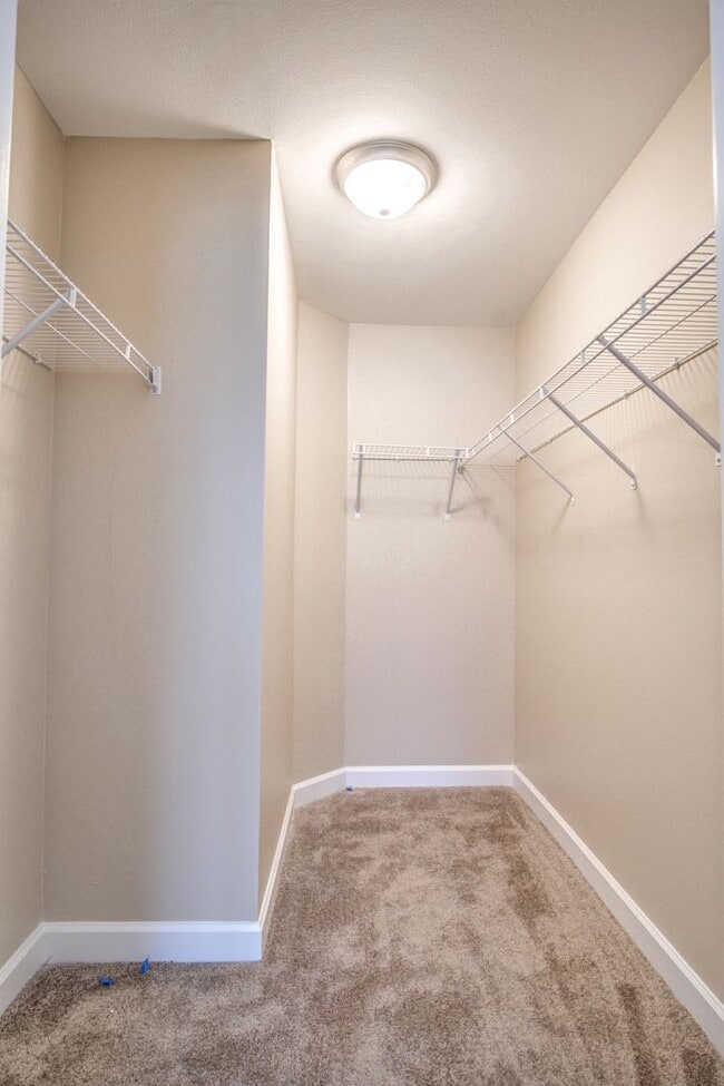 Building Photo - The Residences at Cypress Preserve Beautif...