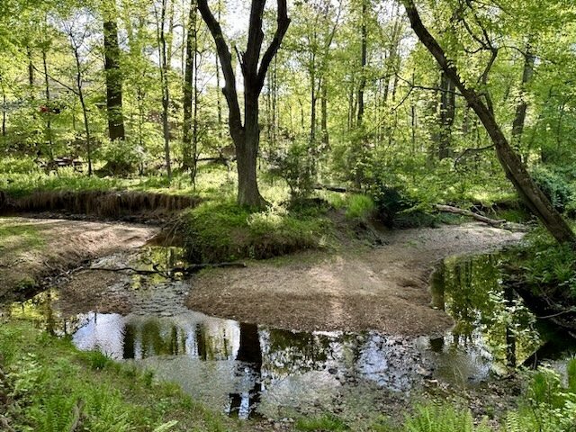 Building Photo - Extensively Renovated 4-Bedroom Home in Prime Location! Unbelievable custom kitchen.