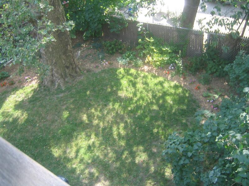 Building Photo - 6 Westminster St