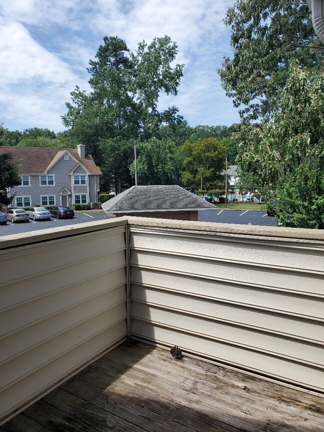 Patio View - 704 Rapidan River Ct