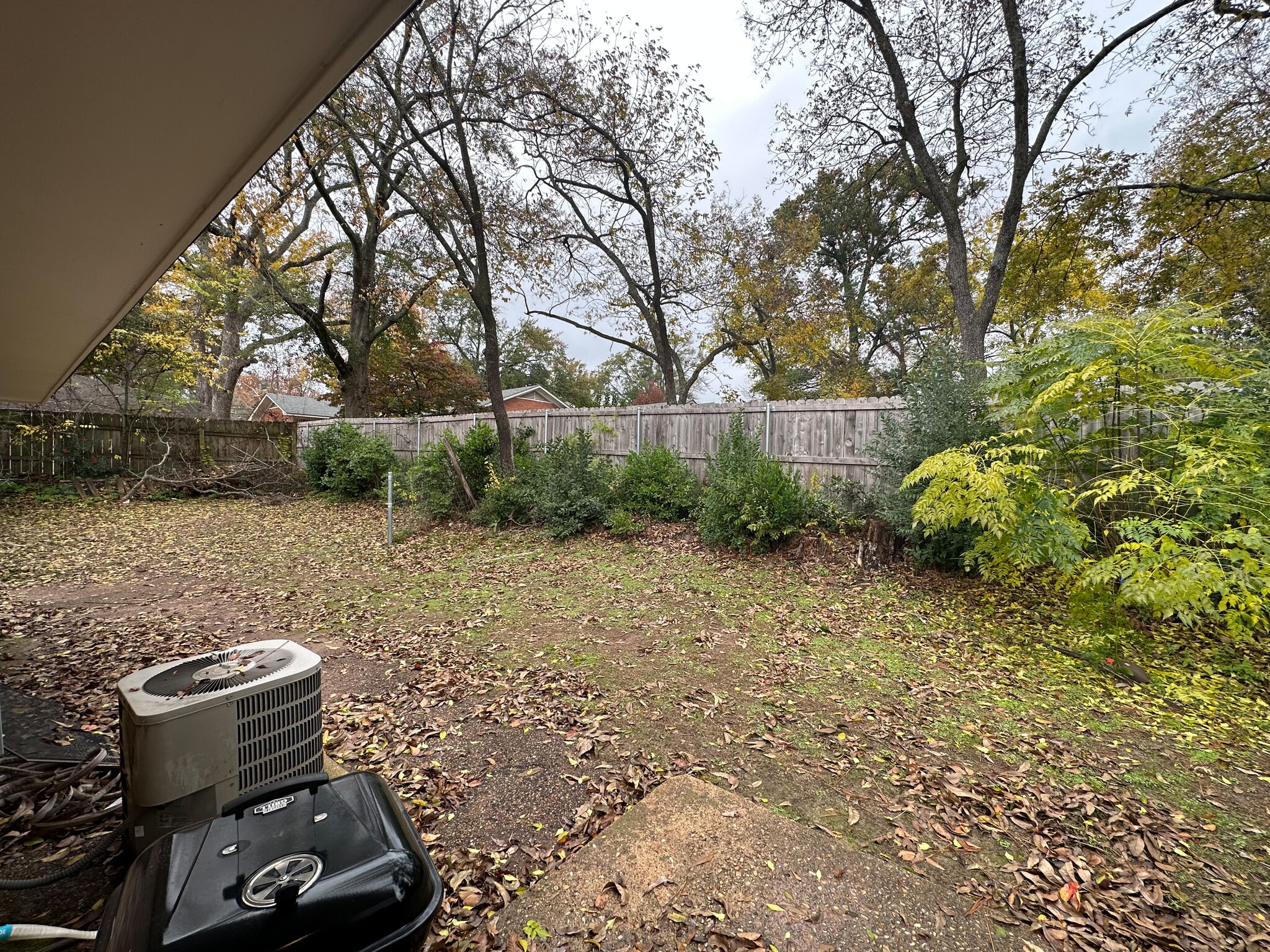 back yard - 406 E Wells St