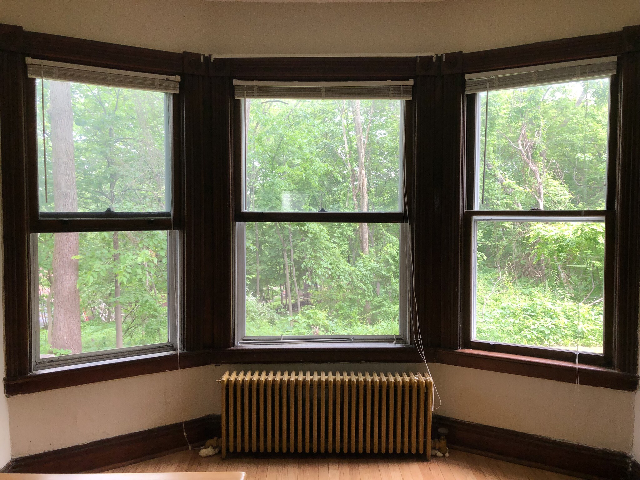 Bay window overlooking woods - 240 11th St