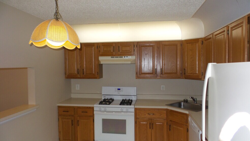 Kitchen - 103 Secretariat Ct