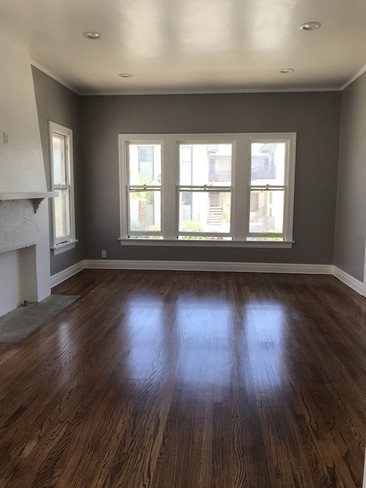 Living Room - 1155 1/2 N Maryland Ave