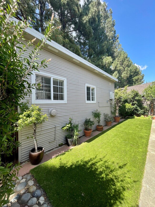 Side yard - 457 University Ave