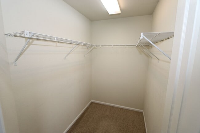 Building Photo - 3 bedroom townhome, NE Colorado Springs