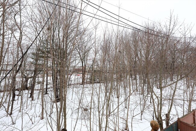 Building Photo - 65 Clifford St