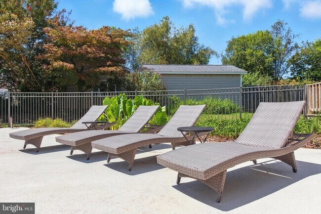 Building Photo - 638 Marlborough Point Rd