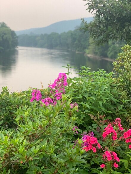 bridge of flowers - 104 Main St