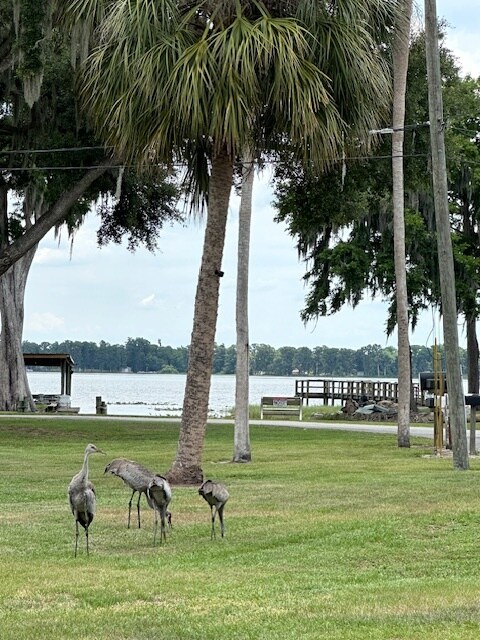 Your view!! - 2915 Tindel Camp Rd