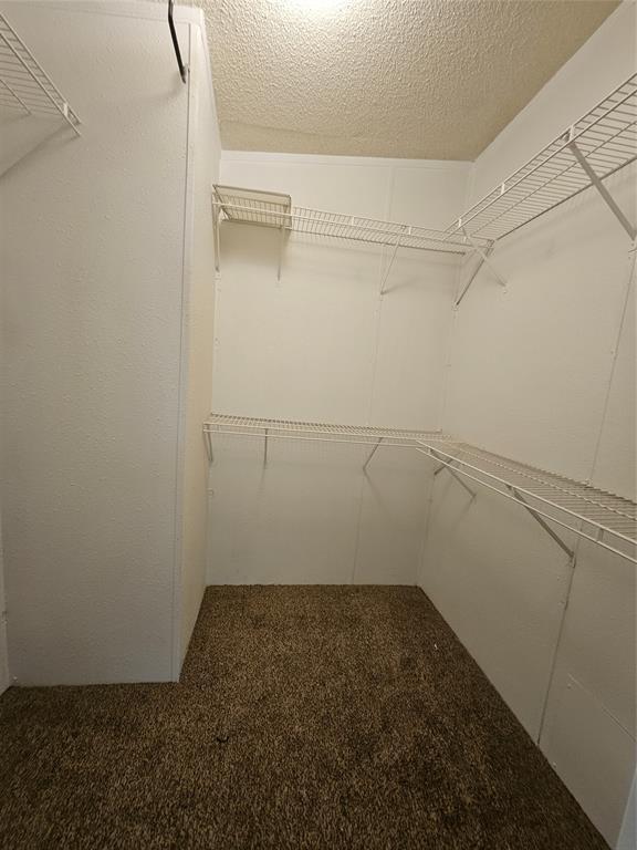 Building Photo - 2218 Hintz Rd