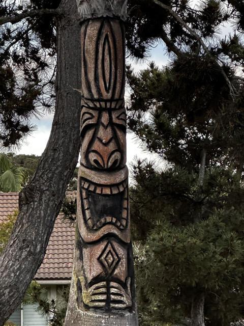 Building Photo - 13625 Mango Dr