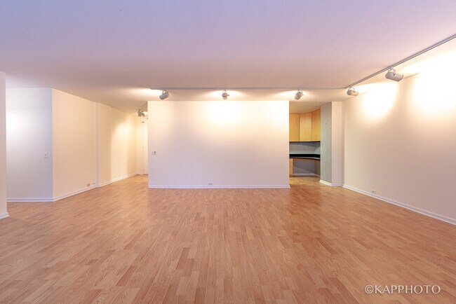 Building Photo - 900 N Lake Shore Dr