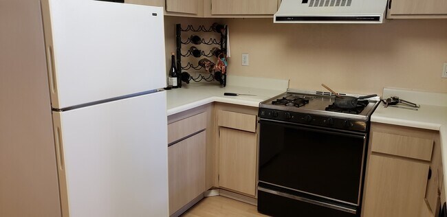 Building Photo - Las Palmas Downstairs Condo