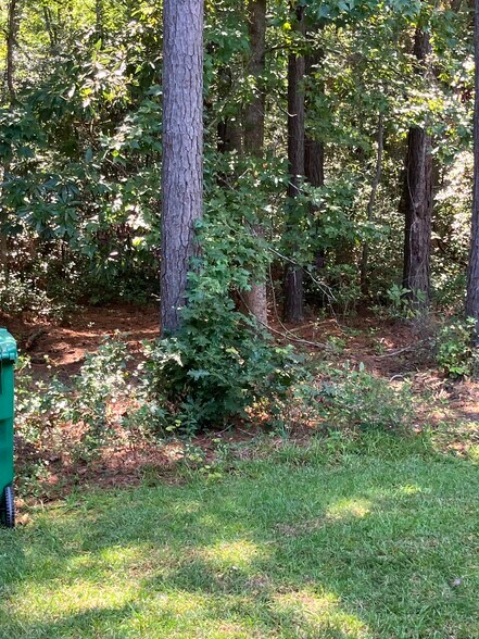 Back yard privacey - 119 South St