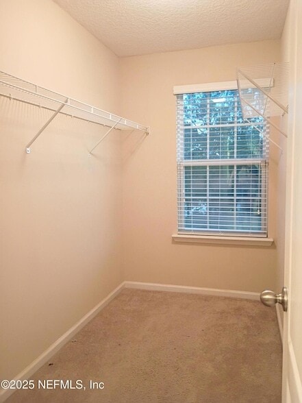 Building Photo - 425 Oasis Ln