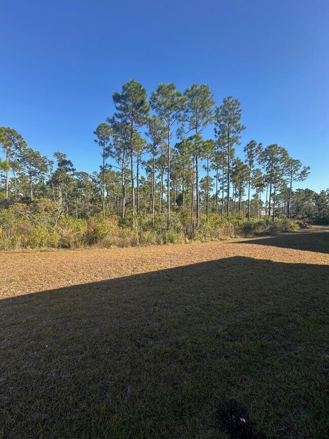 Building Photo - 7 Nest Ln