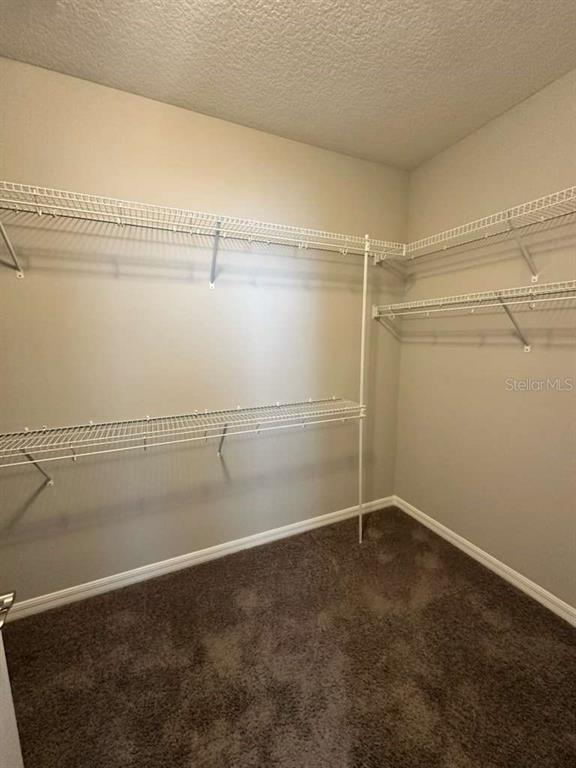 Building Photo - 1182 Orange Season Ln