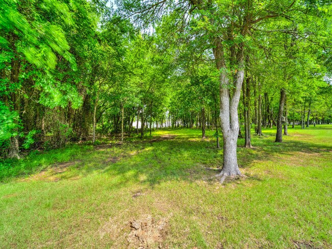 Building Photo - 200 Cove Dr