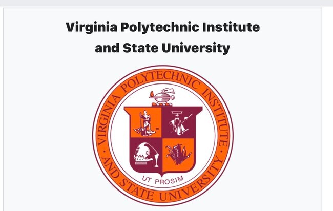 Minutes to campus - 334 Shenandoah Cir