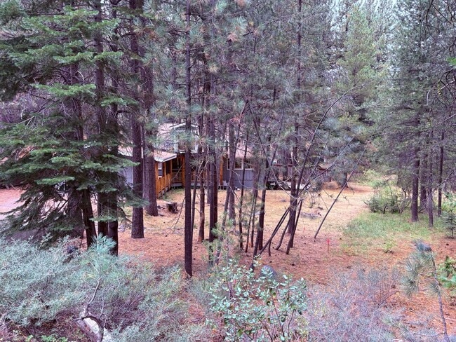 Building Photo - 1584 Sitka Cir