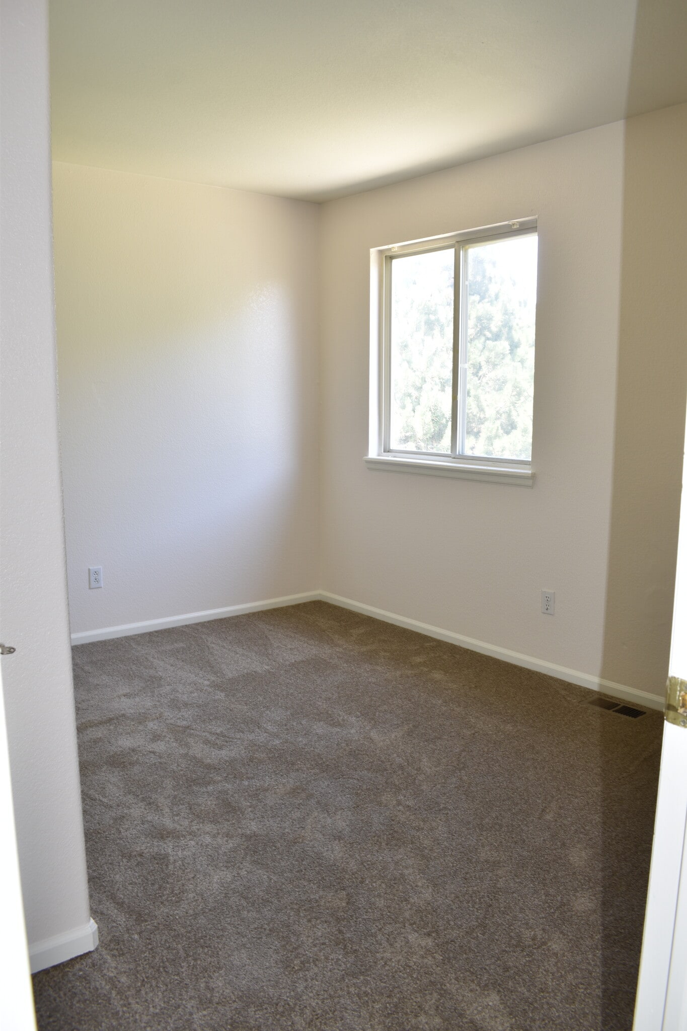 New carpet - 1545 Spring Water Pl