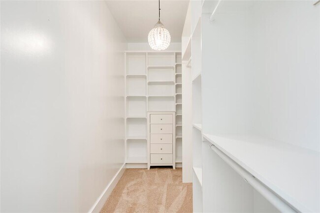 Building Photo - 2005 Bluebonnet Ln