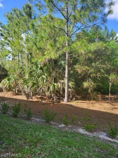 Building Photo - 1256 Carpazi Ct