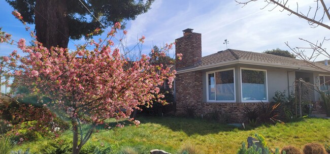 Building Photo - 50 Hayward Ave