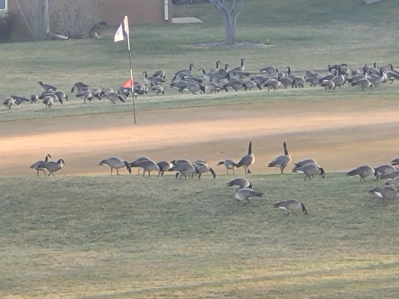 Building Photo - 710 S Alton Way