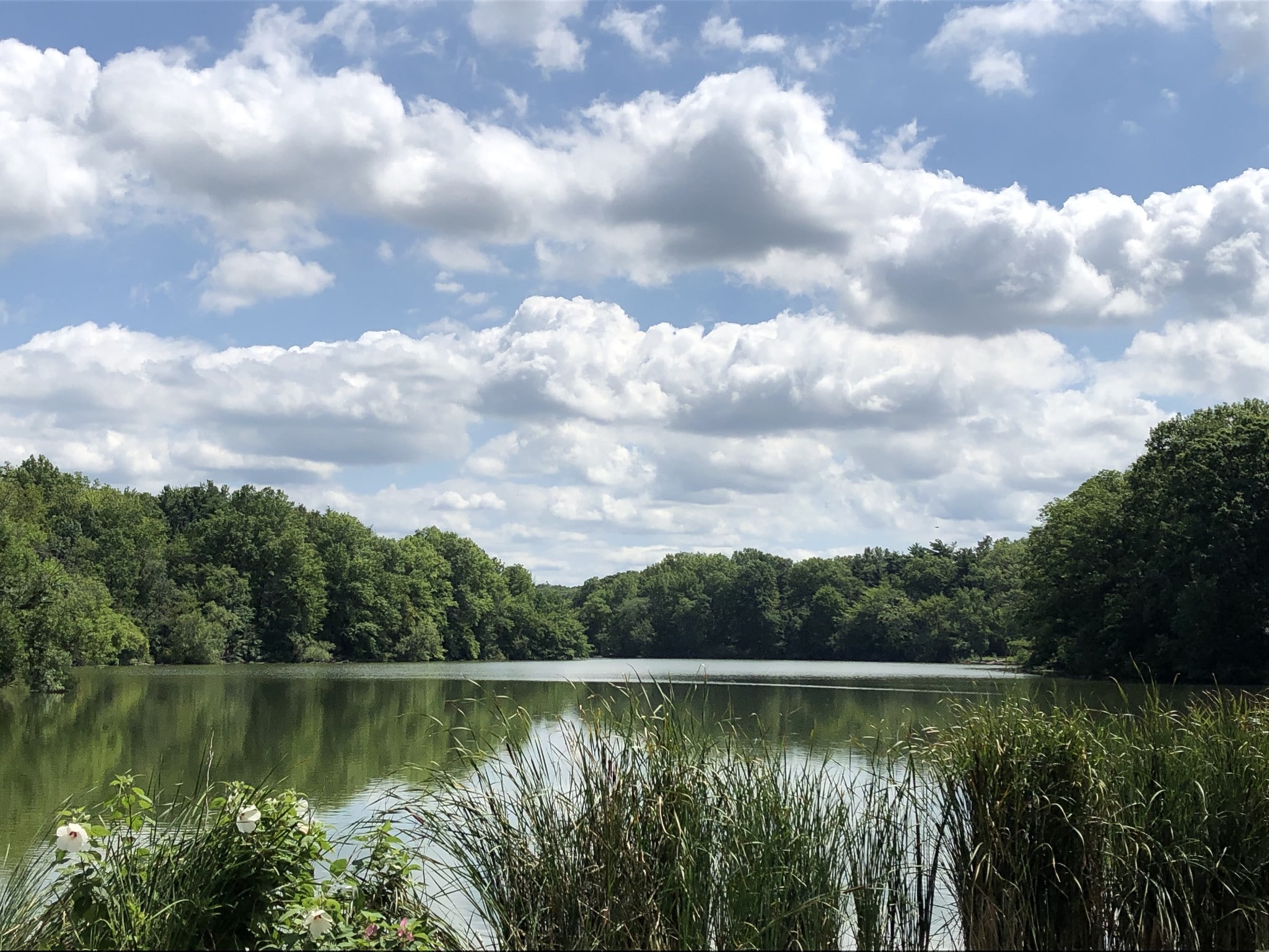 easy walk to Shaker Lakes - 2518 E 124th St