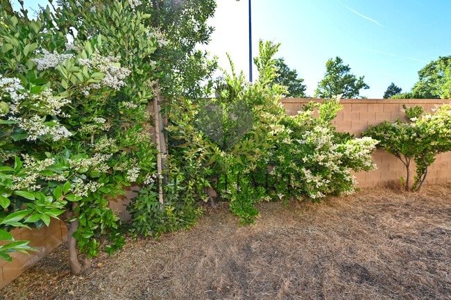 Building Photo - 3368 Monterosa Ln