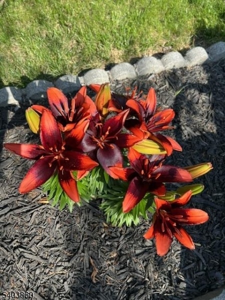 Building Photo - 36 Wawayanda Rd