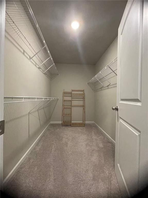 Building Photo - 1416 Fern Ridge Ln