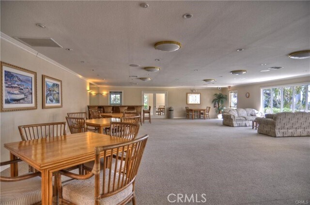 Building Photo - 230 Lille Ln