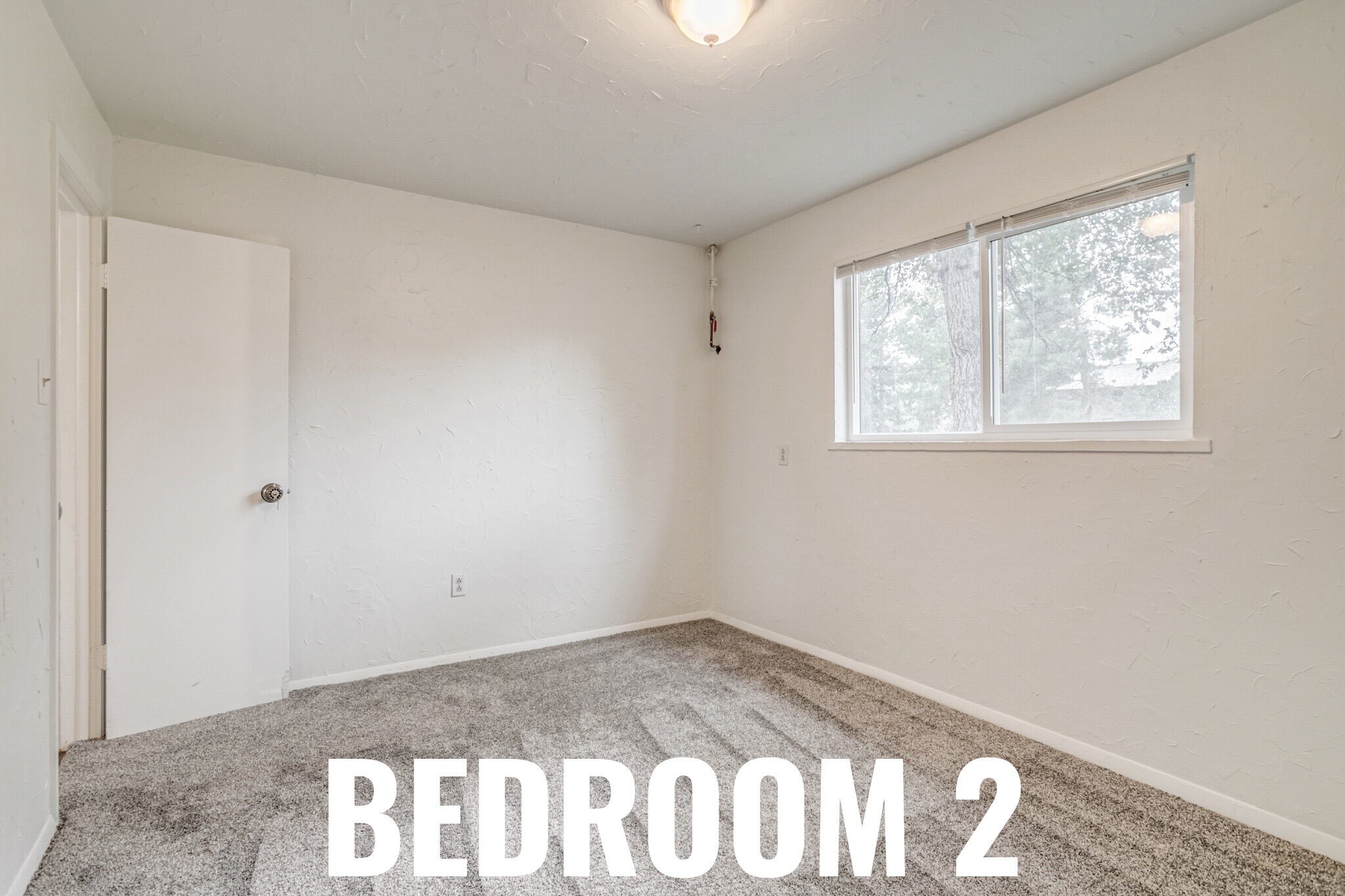 Building Photo - 1320 Youngfield St