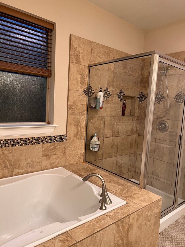 Master bath - 13204 Hymeadow Cir