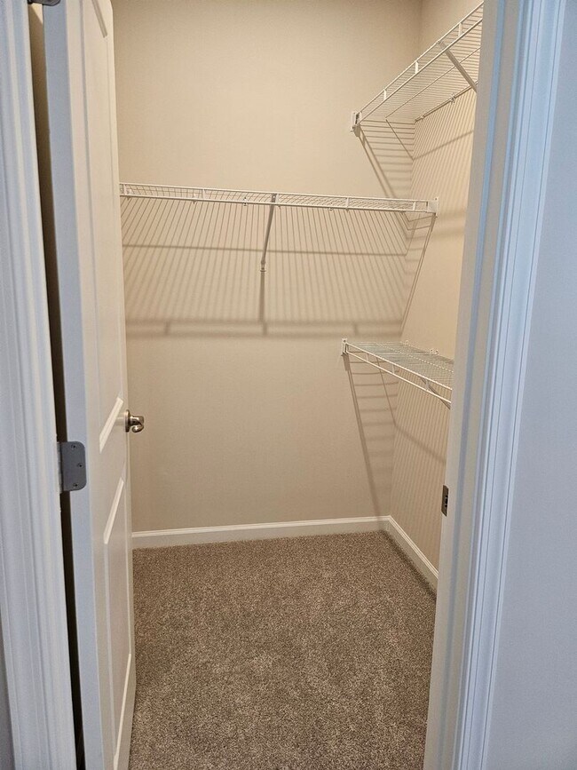 Building Photo - Brand new 3BR Townhome in Charlotte