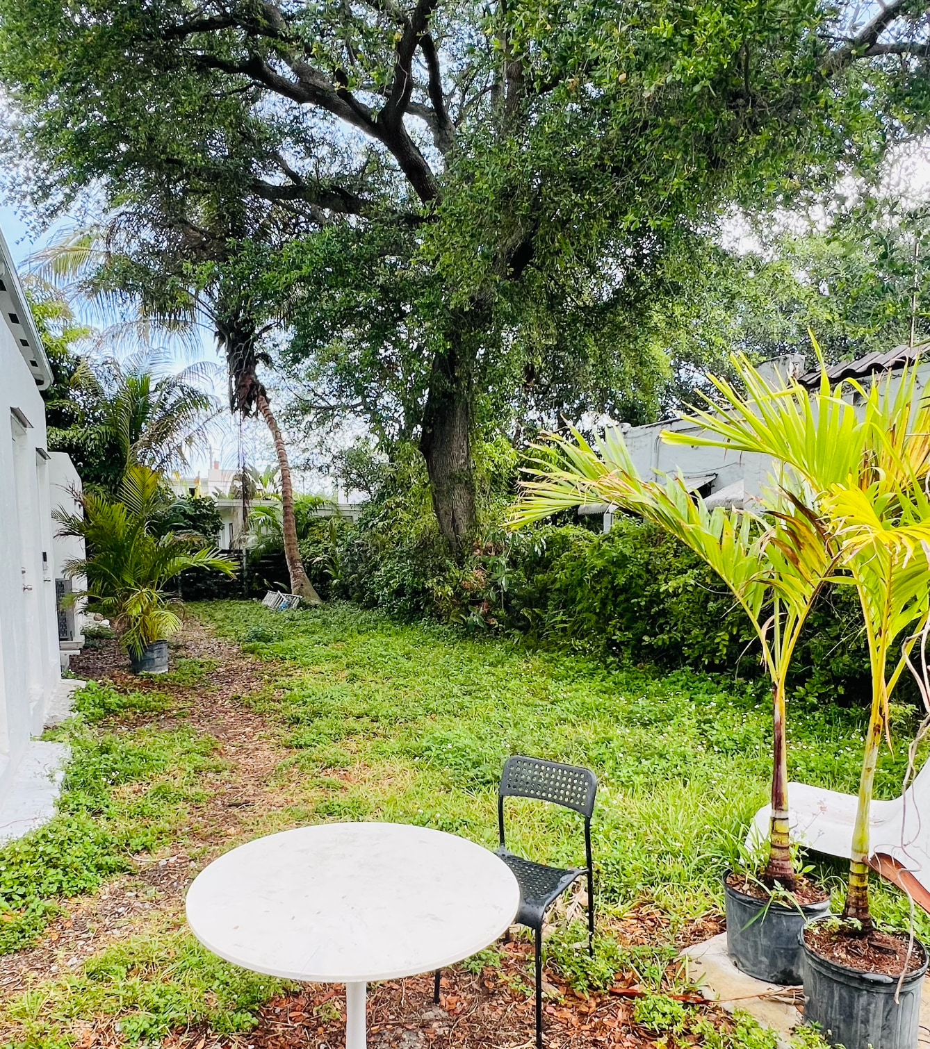 Shared backyard (in progress, will have chill areas etc) - 6863 NW 2nd Ave