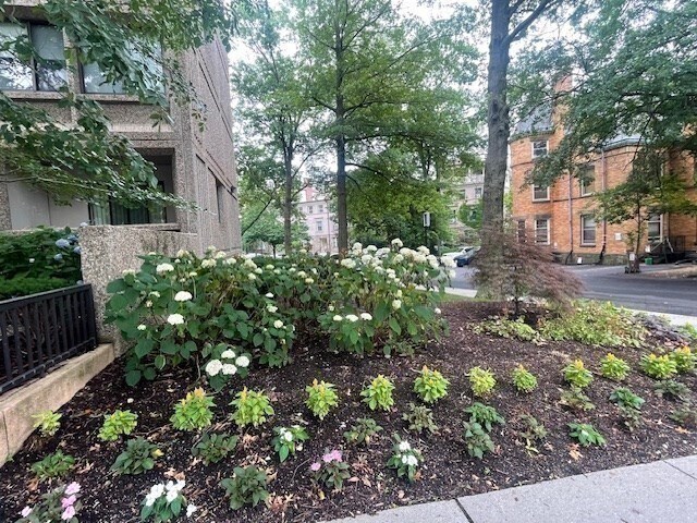 Building Photo - 1731 Beacon St